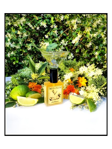 عطر ادکلن جین فلاور سولستیس سنتس - Gin Flower Solstice Scents - بررسی، قیمت و خرید