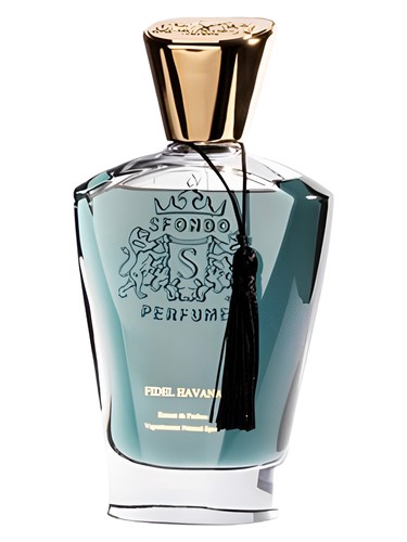 عطر ادکلن فیدل هاوانا اسفاندو پرفیوم - Fidel Havana Sfondo Perfume - بررسی، قیمت و خرید