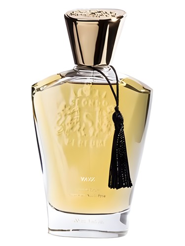 عطر ادکلن یَز اسفوندو پرفیوم - Yazz Sfondo Perfume - بررسی، قیمت و خرید
