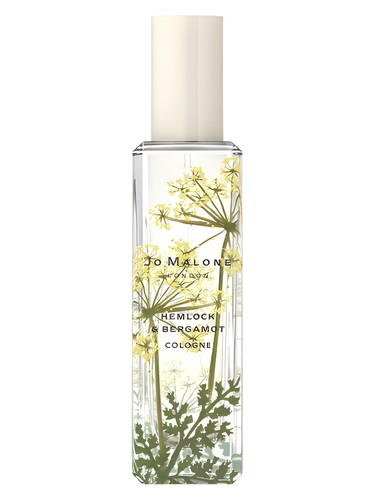 عطر ادکلن هملاک اند برگاموت جو مالون لاندن - Hemlock & Bergamot Jo Malone London - بررسی، قیمت و خرید