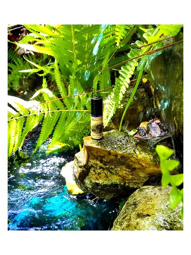 عطر ادکلن دوویلز میل‌هوپر سولستیست سنتس - Devil's Millhopper Solstice Scents - بررسی، قیمت و خرید