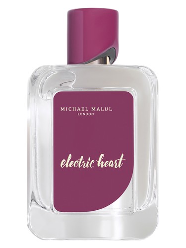 عطر ادکلن الکتریک هارت مایکل مالول لندن - Electric Heart Michael Malul London - بررسی، قیمت و خرید