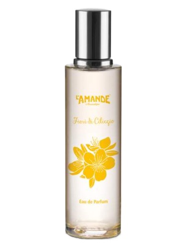 عطر ادکلن فیوری دی چلیجیو لاماند - Fiori di Ciliegio L'Amande - بررسی، قیمت و خرید