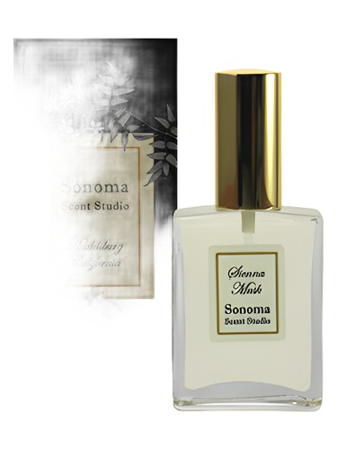 عطر ادکلن ساینا ماسک سونوما سنت استودیو - Sienna Musk Sonoma Scent Studio - بررسی، قیمت و خرید