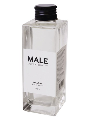 عطر ادکلن میل زیرو وان میل لَب پور هوم - Male 01 Male Lab Pour Homme - بررسی، قیمت و خرید