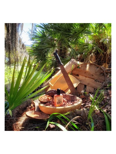 عطر ادکلن استیت کاکائو سولستیس سنتس - Estate Cacao Solstice Scents - بررسی، قیمت و خرید