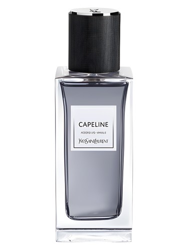 عطر ادکلن کاپلاین ایو سن لورن - Capeline Yves Saint Laurent - بررسی، قیمت و خرید