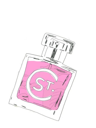 عطر ادکلن ایو سن کلر سنتز - Eve St. Clair Scents - بررسی، قیمت و خرید