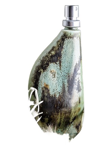 عطر ادکلن داسک مار گالیتی - Dusk Mar Galliti - بررسی، قیمت و خرید