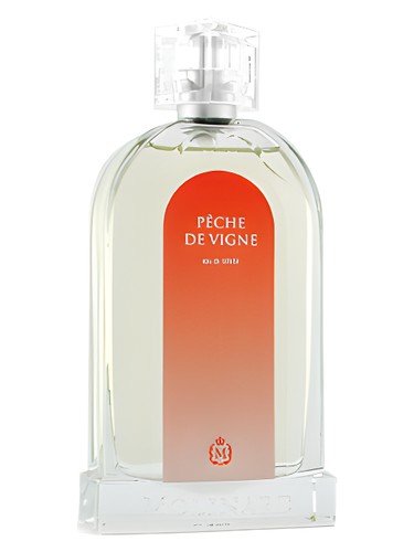 عطر ادکلن پش دو وین مولینارد - Pêche de Vigne Molinard - بررسی، قیمت و خرید