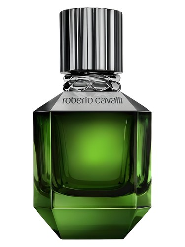 عطر ادکلن پَرِدایس فایند فور مَن روبرتو کاوالی - Paradise Found For Men Roberto Cavalli - بررسی، قیمت و خرید