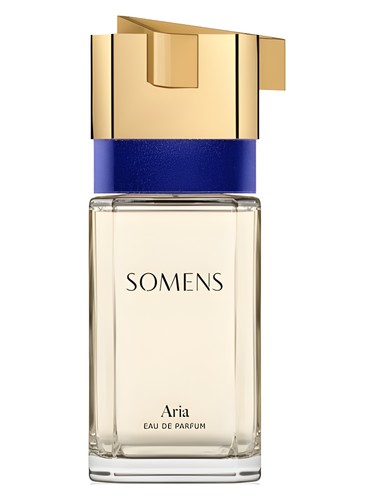 عطر ادکلن آریا سامنس - Aria Somens - بررسی، قیمت و خرید