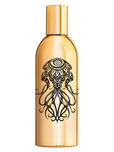 عطر ادکلن آکوا ماوری کالکشن - Aqua Maori Collection - بررسی، قیمت و خرید