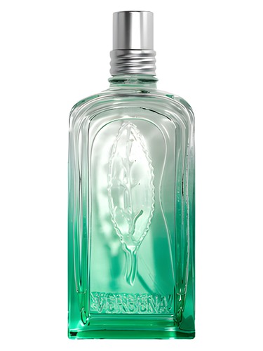 عطر ادکلن ورئوین لوکسی تان - Verveine 2020 L'Occitane en Provence - بررسی، قیمت و خرید