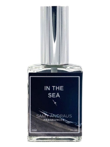 عطر ادکلن این د سی سامی اندروس فراگرنس - In The Sea Samy Andraus Fragrances - بررسی، قیمت و خرید