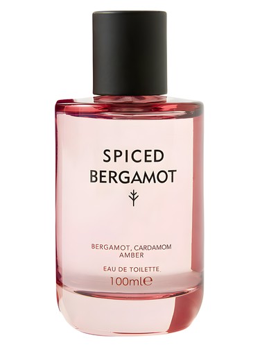 عطر ادکلن اسپایسد برگاموت مارکس اند اسپنسر - Spiced Bergamot Marks & Spencer - بررسی، قیمت و خرید