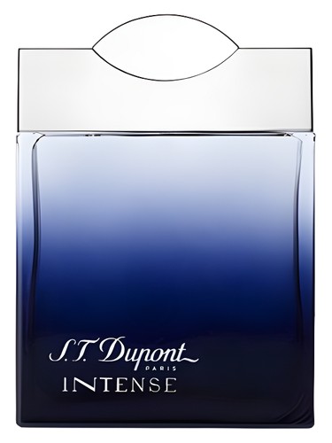 عطر ادکلن اس تی دوپونت اینتنس پور هوم اس تی دوپونت - S.T. Dupont Intense Pour Homme S.T. Dupont - بررسی، قیمت و خرید
