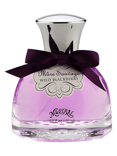 عطر ادکلن [vaɪld blækˈberi] میسترال - Wild Blackberry Mistral - بررسی، قیمت و خرید