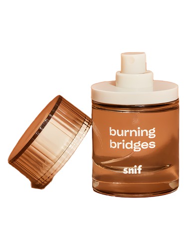 عطر ادکلن برنینگ بریجز سنیف - Burning Bridges Snif - بررسی، قیمت و خرید