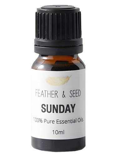 عطر ادکلن ساندی سنسر آی ام - Sunday Sensor I Am - بررسی، قیمت و خرید
