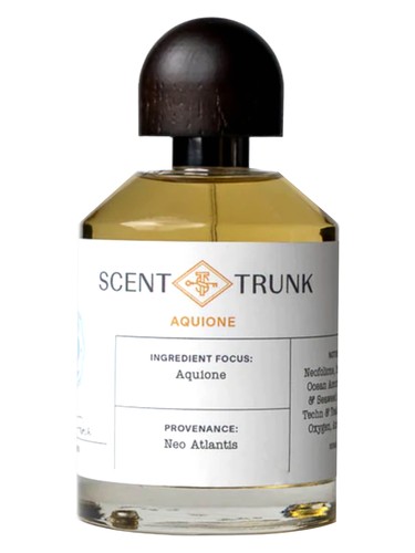 عطر ادکلن آکیونه سنت ترانک - Aquione Scent Trunk - بررسی، قیمت و خرید