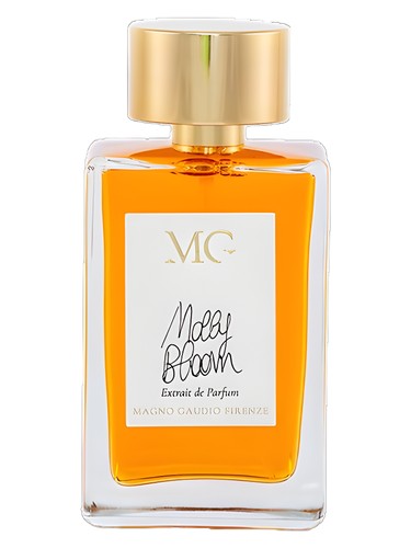 عطر ادکلن مالی بلوم مگنو گودیوفیرنتزه - Molly Bloom Magno Gaudio Firenze - بررسی، قیمت و خرید