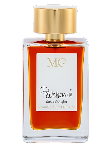 عطر ادکلن پینک بیچ سالتِر - Patchami Magno Gaudio Firenze - بررسی، قیمت و خرید