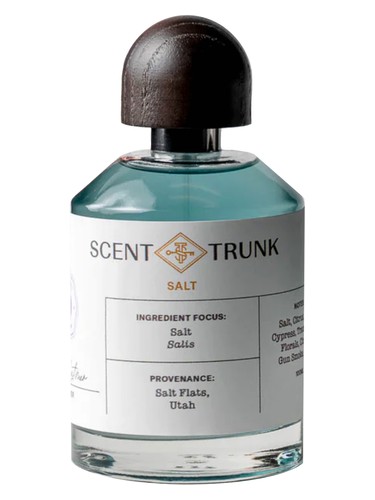 عطر ادکلن سالت سنت ترانک - Salt Scent Trunk - بررسی، قیمت و خرید