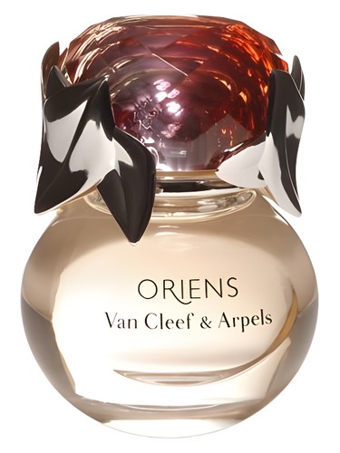 عطر ادکلن اوریِنز ون کلیف اند آرپلز - Oriens Van Cleef & Arpels - بررسی، قیمت و خرید