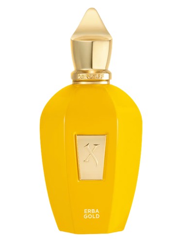 عطر ادکلن اِربا گُلد زرژاف - Erba Gold Xerjoff - بررسی، قیمت و خرید