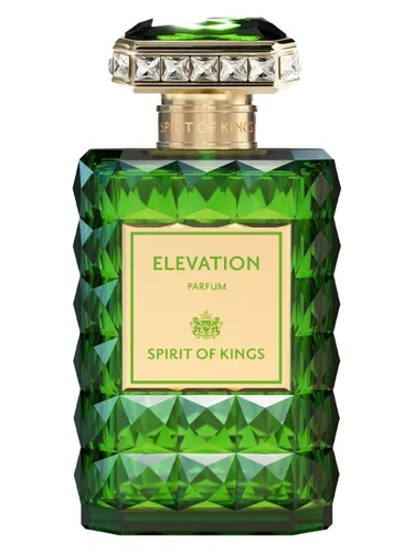 عطر ادکلن اِلِویشِن اسپریت آو کینگز - Elevation Spirit Of Kings - بررسی، قیمت و خرید