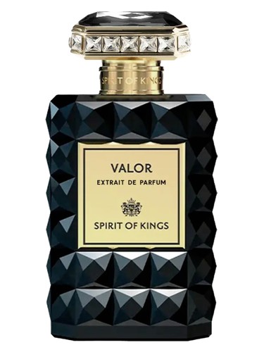 عطر ادکلن ولور اسپیریت آو کینگز - Valor Spirit Of Kings - بررسی، قیمت و خرید