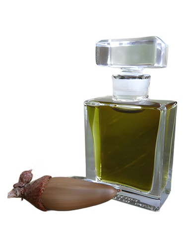 عطر ادکلن کیو راکسانا ایلومینیتد پرفیوم - Q Roxana Illuminated Perfume - بررسی، قیمت و خرید