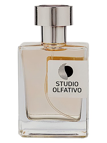 عطر ادکلن اریون استودیو الفکتیو - Orion Studio Olfativo - بررسی، قیمت و خرید