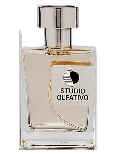 عطر ادکلن اَندی استودیو الفاتیوو - Andy Studio Olfativo - بررسی، قیمت و خرید