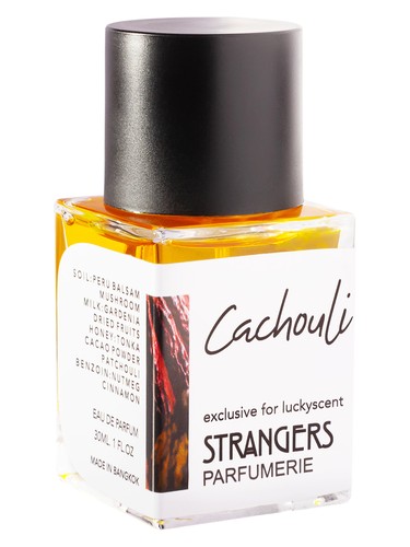 عطر ادکلن کچولی استرنجرز پرفیومری - Cachouli Strangers Parfumerie - بررسی، قیمت و خرید