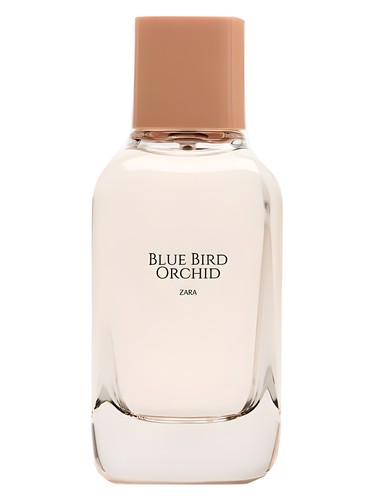 عطر ادکلن بلوبرد ارکید زارا - Blue Bird Orchid Zara - بررسی، قیمت و خرید