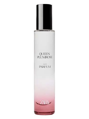 عطر ادکلن کوئین پلامروز زارا - Queen Plumrose Zara - بررسی، قیمت و خرید