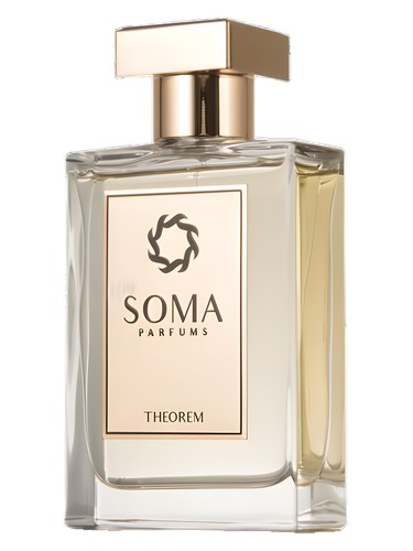 عطر ادکلن تیورم سوما پارفومز - Theorem Soma Parfums - بررسی، قیمت و خرید