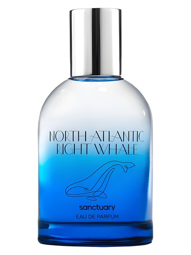 عطر ادکلن نورس آتلانتیک رایت وِیل سنکچری - North Atlantic Right Whale Sanctuary - بررسی، قیمت و خرید