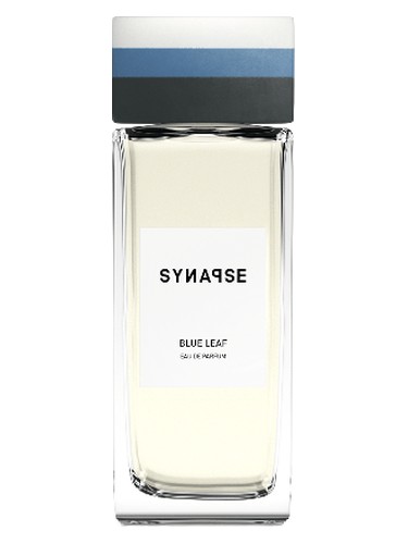 عطر ادکلن بلوليف سیناپس - Blue Leaf Synapse - بررسی، قیمت و خرید