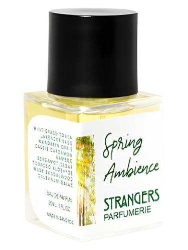 عطر ادکلن اسپرینگ اَمبرینس استرنجرز پرفیومری - Spring Ambience Strangers Parfumerie - بررسی، قیمت و خرید