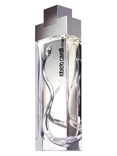 عطر ادکلن روبرتو کاوالی من روبرتو کاوالی - Roberto Cavalli Man Roberto Cavalli - بررسی، قیمت و خرید
