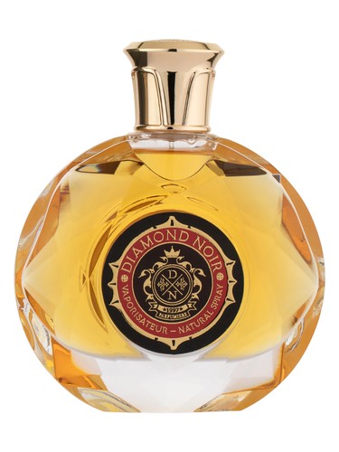 عطر ادکلن دایموند نوآر لوییز آلاویا - Diamond Noir Louis Alavia - بررسی، قیمت و خرید