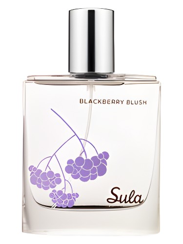 عطر ادکلن سولا بلک بری بلاش سوزان لنگ - Sula Blackberry Blush Susanne Lang - بررسی، قیمت و خرید