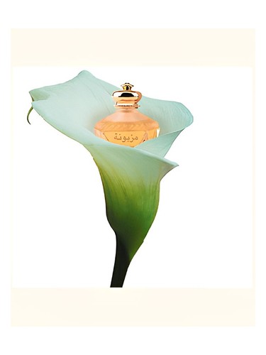 عطر ادکلن میزیونا راساسی - Mezyuna Rasasi - بررسی، قیمت و خرید