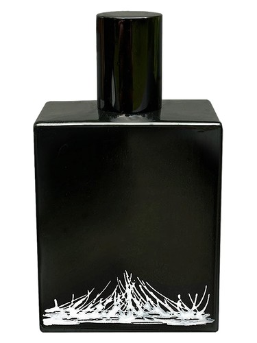 عطر ادکلن ویسپِرینگ فیلدز اسپیس فلوئید - Whispering Fields Space Fluid - بررسی، قیمت و خرید