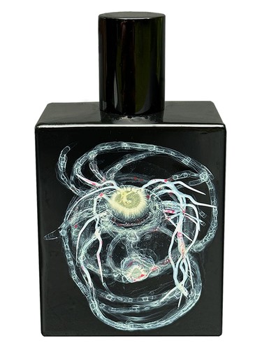 عطر ادکلن هایتو لوتوس اسپیس فلوید - High to Lotus Space Fluid - بررسی، قیمت و خرید