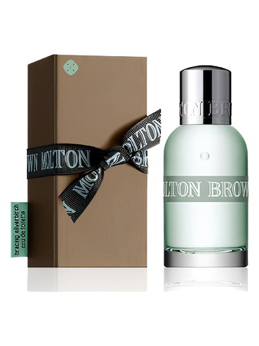 عطر ادکلن بریسینگ سیلوربرچ مولتون براون - Bracing Silverbirch Molton Brown - بررسی، قیمت و خرید
