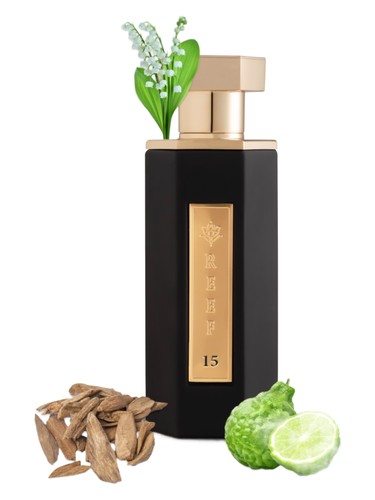 عطر ادکلن ریف پونزده ریو پرفیومز - REEF15 Reef Perfumes - بررسی، قیمت و خرید